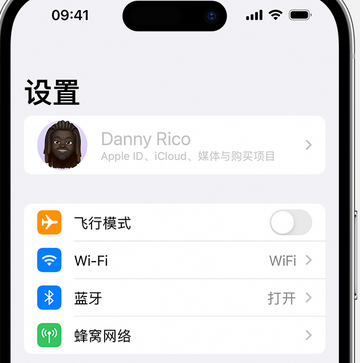 曲水appleID维修服务iPhone设置中Apple ID显示为灰色无法使用 