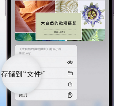 曲水apple维修中心分享iPhone文件应用中存储和找到下载文件