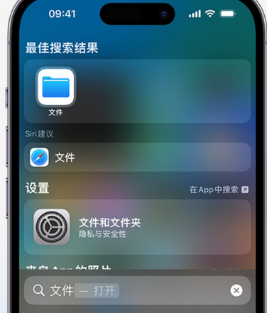 曲水apple维修中心分享iPhone文件应用中存储和找到下载文件 