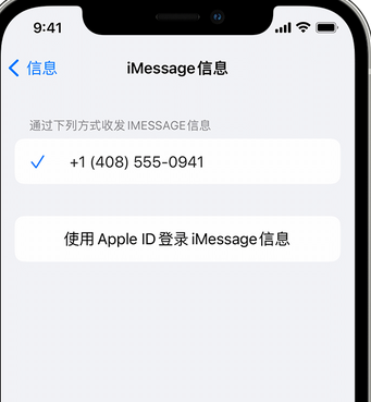 曲水apple维修iPhone上无法正常发送iMessage信息 