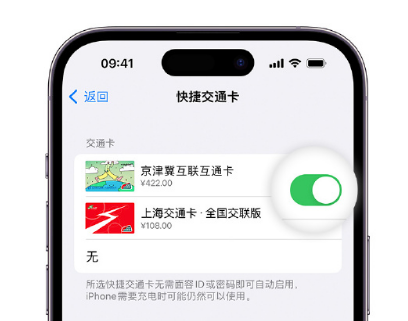 曲水apple维修点分享iPhone上更换Apple Pay快捷交通卡手绘卡面 