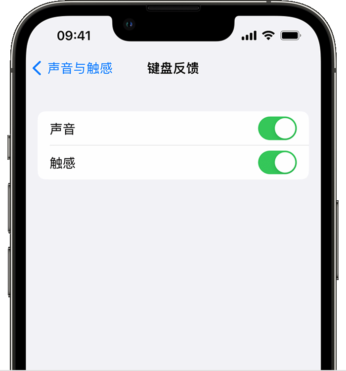 曲水苹果14维修店分享如何在 iPhone 14 机型中使用触感键盘 