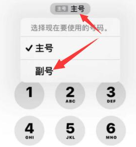 曲水苹果14维修店分享iPhone 14 Pro Max使用副卡打电话的方法 