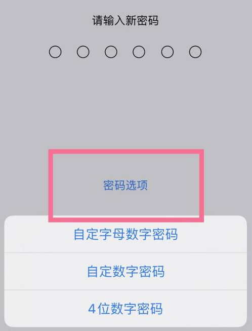 曲水苹果14维修分享iPhone 14plus设置密码的方法 