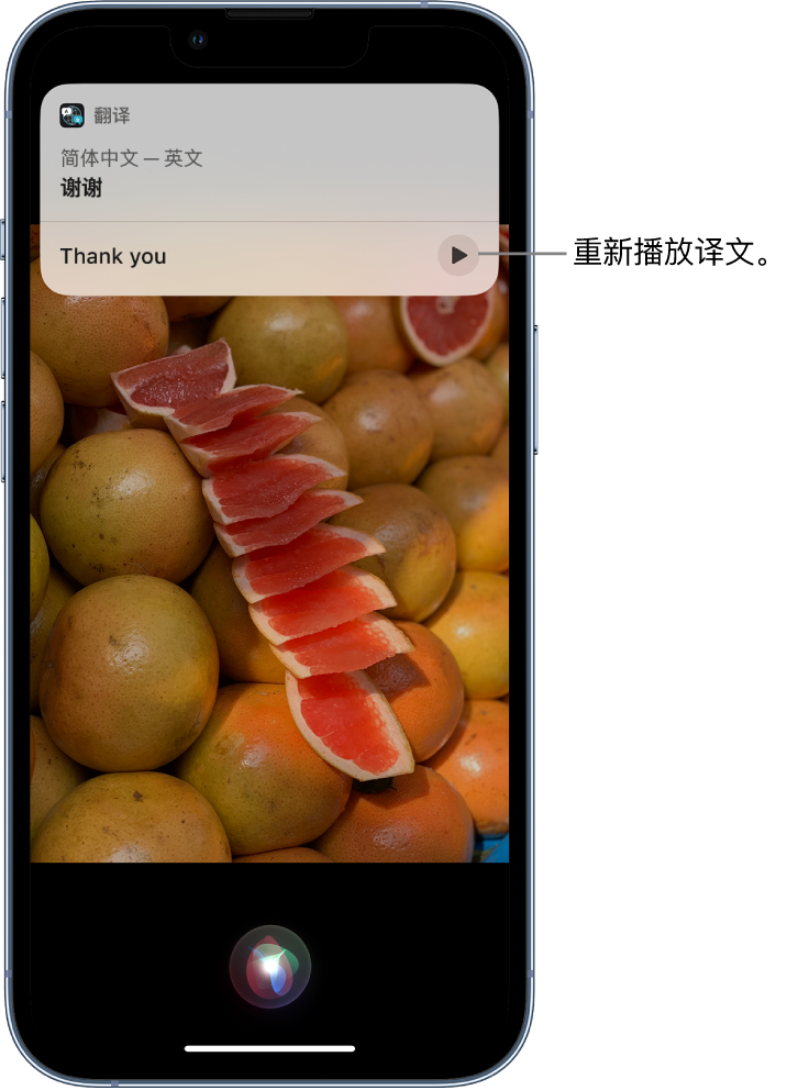 曲水苹果14维修分享 iPhone 14 机型中使用 Siri：了解 Siri 能帮你做什么 