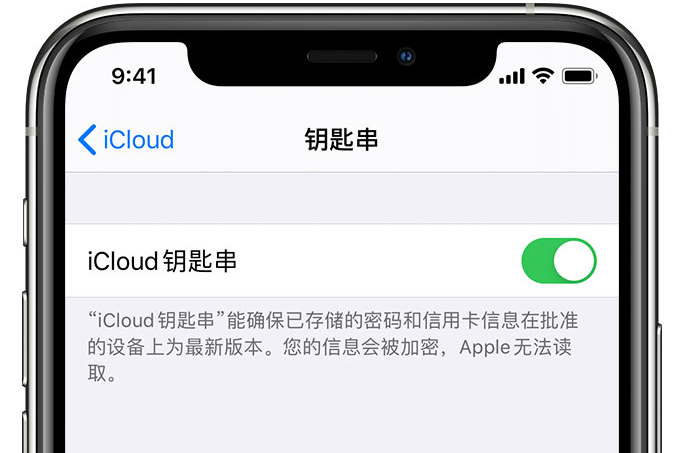 曲水苹果手机维修分享在 iPhone 上开启 iCloud 钥匙串之后会储存哪些信息 