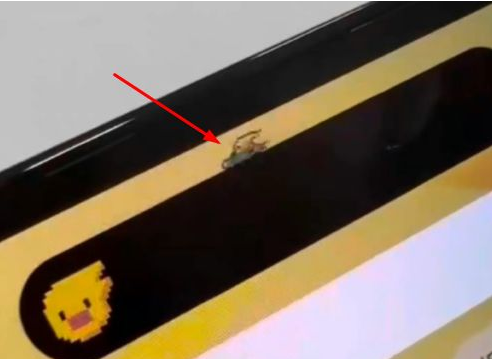 曲水苹果14维修分享iPhone 14 Pro Max灵动岛怎么养宠物 