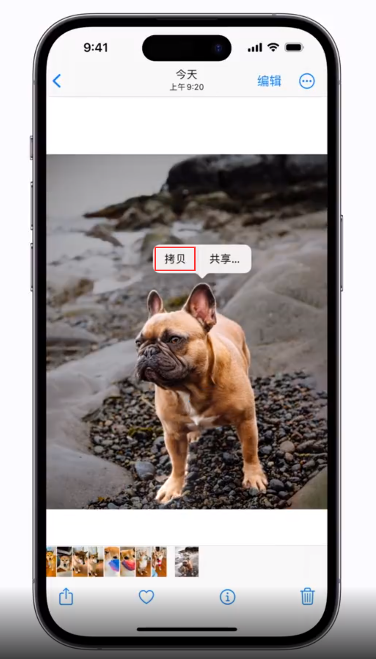曲水苹果手机维修分享 iOS 16 自带一键抠图功能 