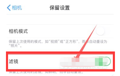 曲水苹果13维修分享iPhone13拍照有绿点是怎么回事 