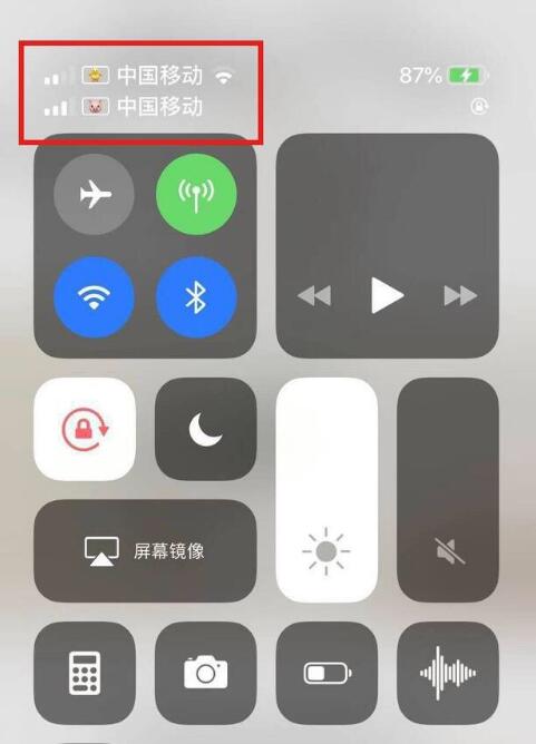 曲水苹果手机维修分享为 iPhone 12 双卡设置标签 